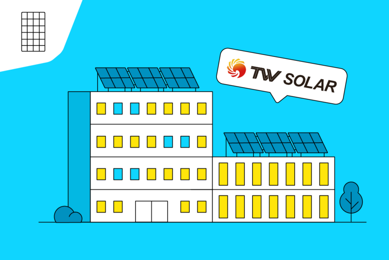 TW Solar Tongwei Interview