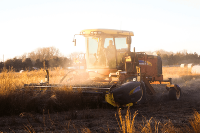 Photovoltaik Förderung Landwirtschaft