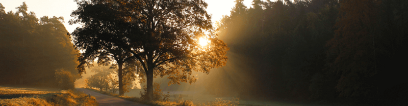 Photovoltaik Förderung Bayern