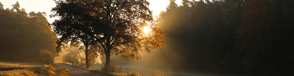 Photovoltaik Förderung Bayern