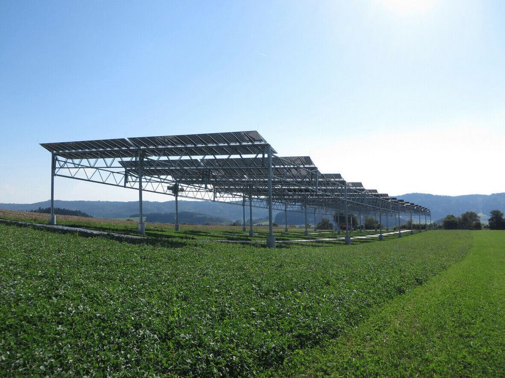 agri-photovoltaik-projekt-in-heggelbach-beim-bodensee