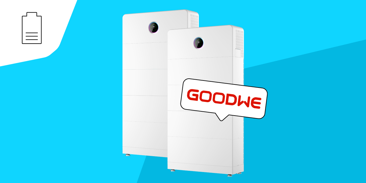 GoodWe ESA All-in-One Speicher