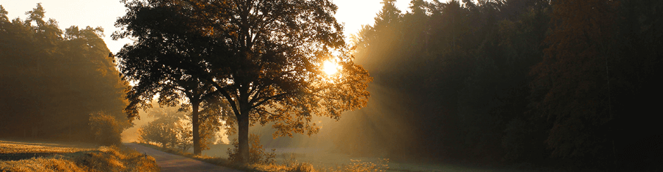 Photovoltaik-Förderung Bayern Photovoltaik Förderung Bayern