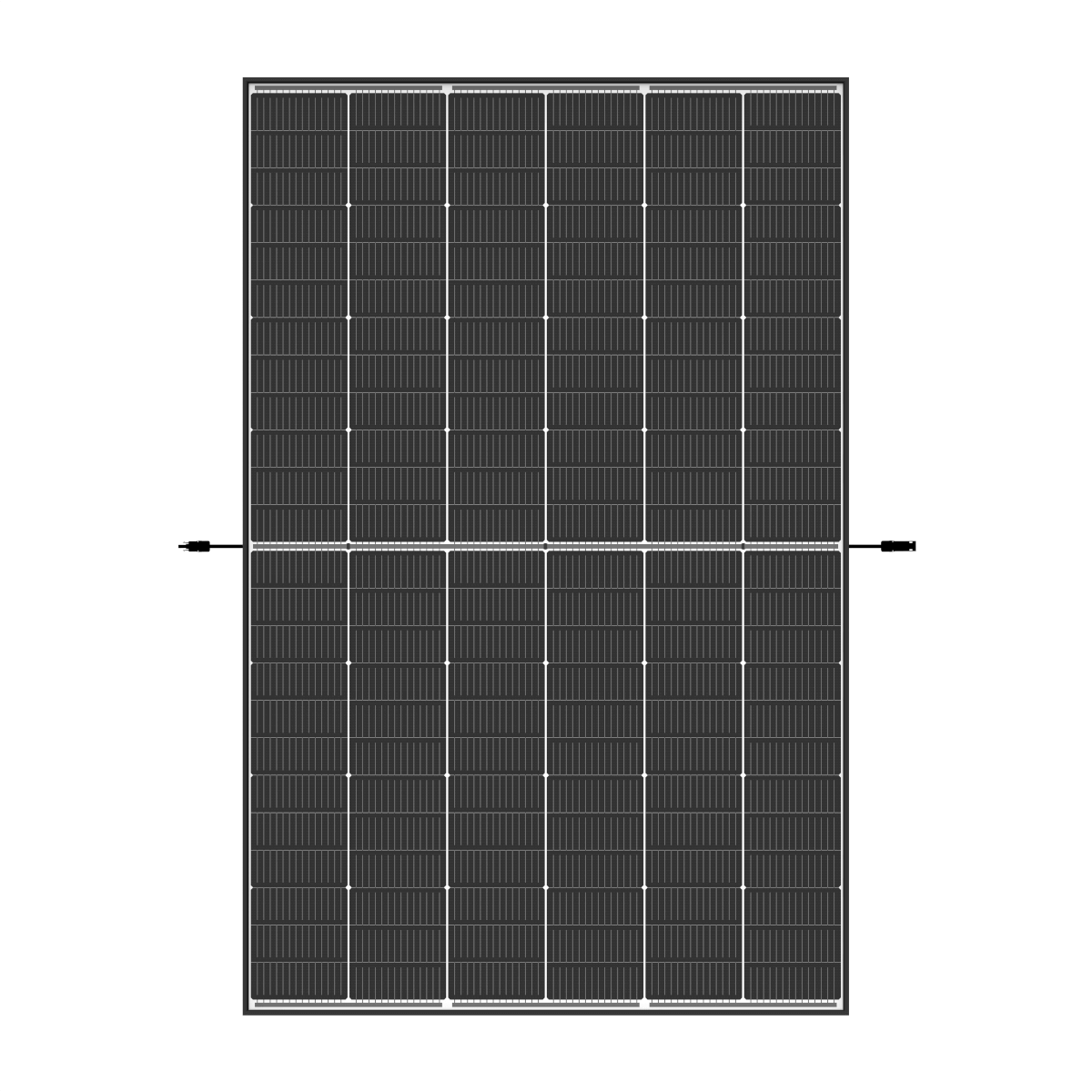 Trina 455 TSM-NEG9R.28 Vertex S+ Doppelglas