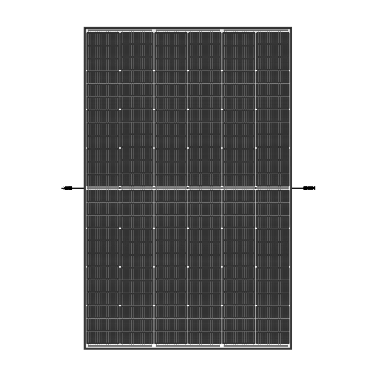 Trina 460 TSM-NEG9R.28 Vertex S+ Doppelglas