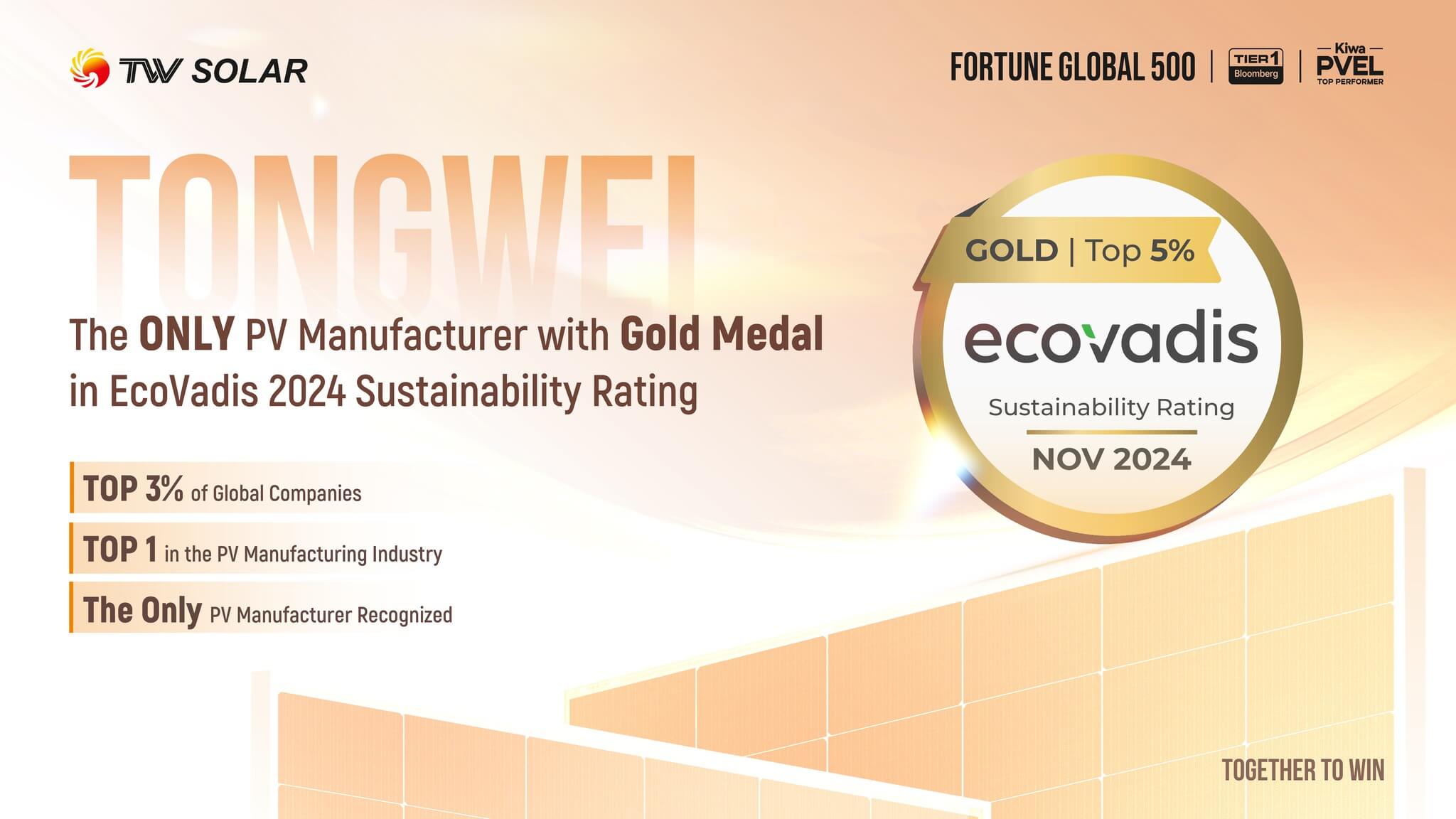 Tongwei Ecovadis TW Solar Doppelglas TWMNH-48HW 465W